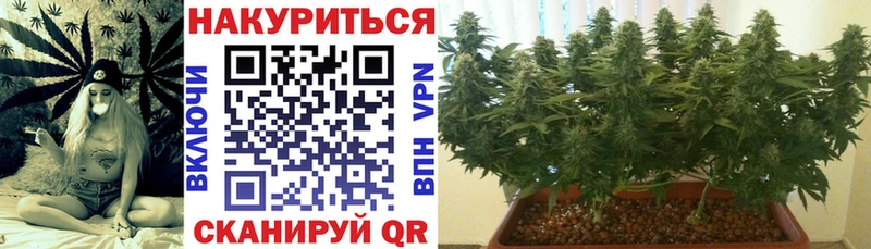 Где найти наркотики Гуково СК мега ONION Конопля