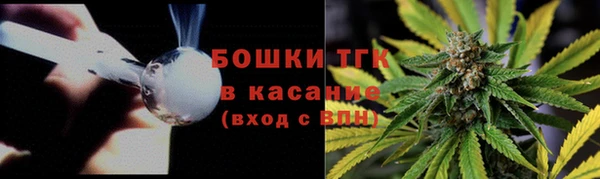 тгк Алзамай