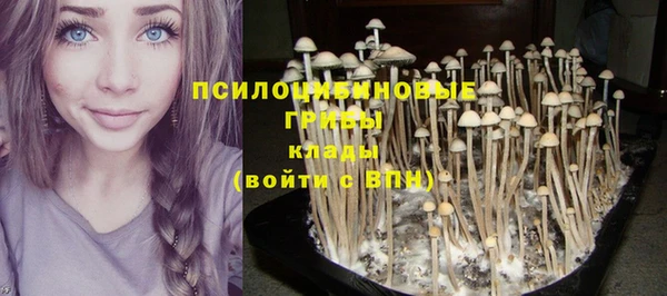 тгк Алзамай