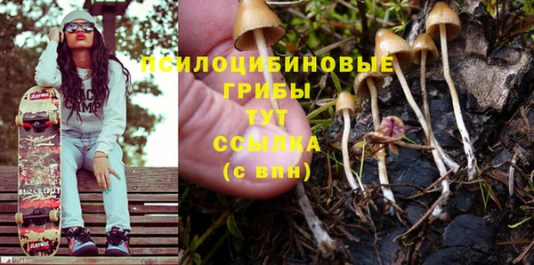таблы Алексин