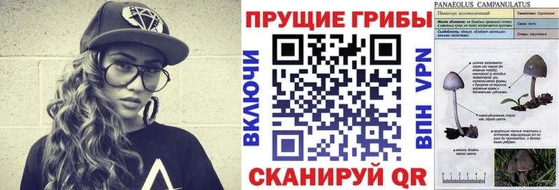 Псилоцибиновые грибы прущие грибы  Гуково 